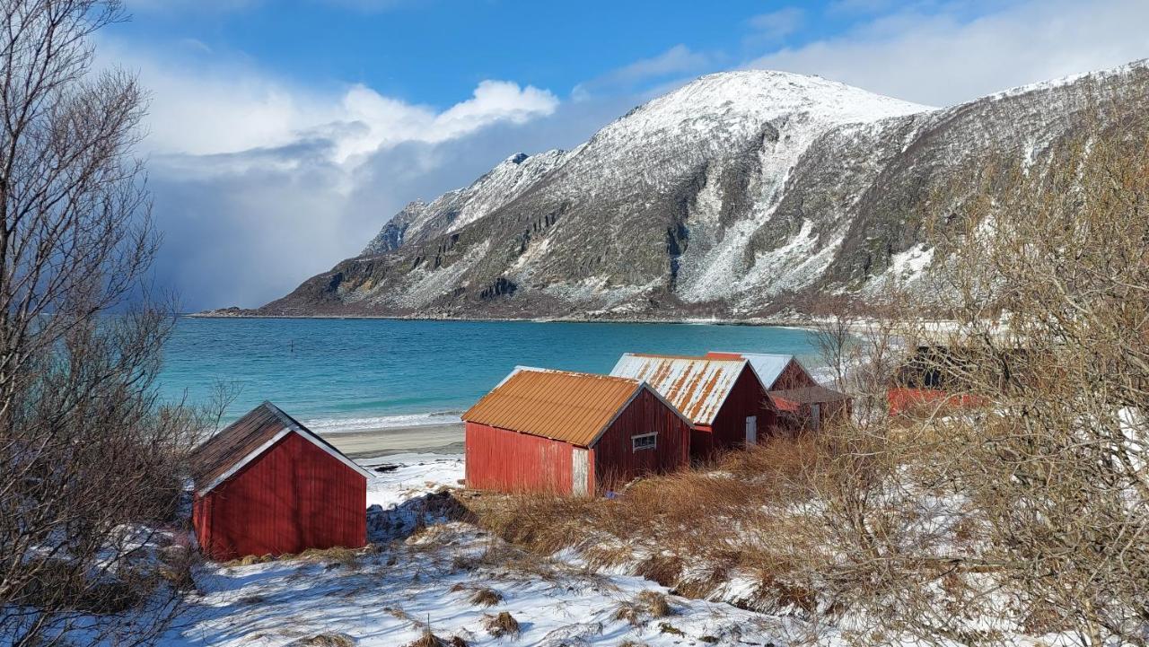 Holiday Home On Senja Senjahopen Esterno foto
